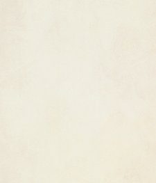 [123] 비앙코